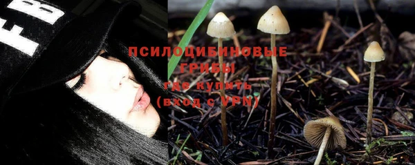 соль курить ск Михайлов